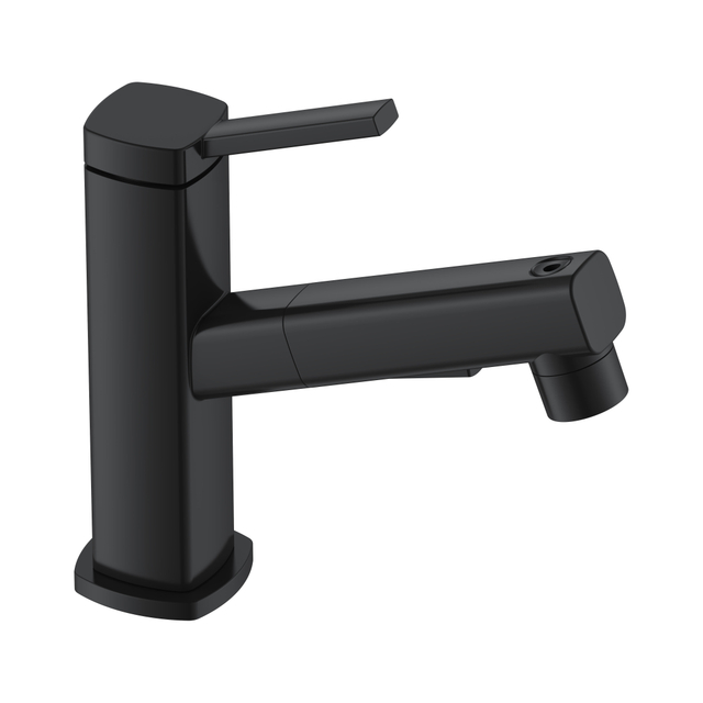 Grifo de baño con fuente de agua extraíble para cepillo de dientes Grifos de baño negros